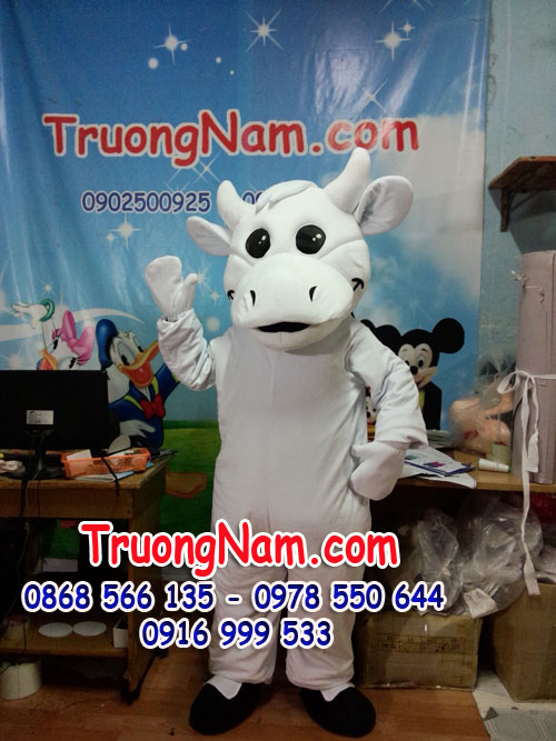 TN082-Bo-Trang.jpg