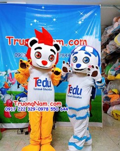 Mascot Chó Tedu education