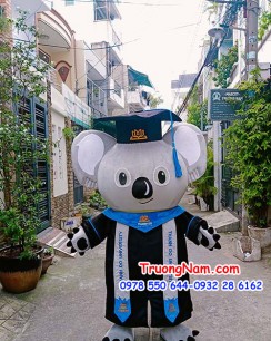Mascot cử nhân gấu Koala Thành Đô