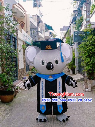 Mascot cử nhân gấu Koala Thành Đô