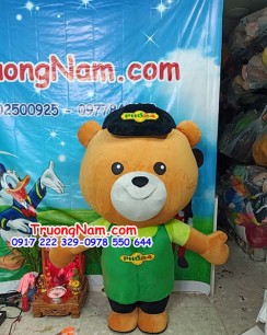 Mascot Gấu Phở 24 - MCHOI015