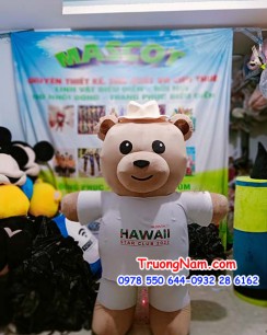 Mascot Hawaii StarClub Bear - MCHOI041