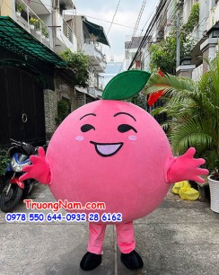 mascot trái hồng cute - mascot trái cây - MCTC043