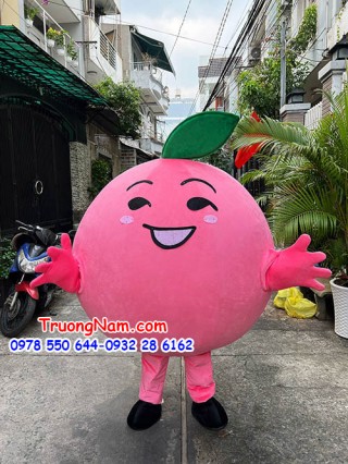 mascot trái hồng cute - mascot trái cây - MCTC043