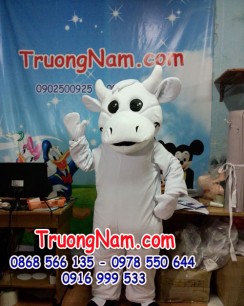 Bo-Trang-TN082